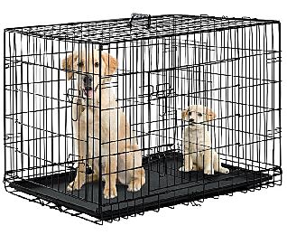 dog/cat cage