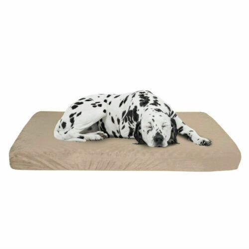 Large Memory Foam Orthopedic Dog Bed